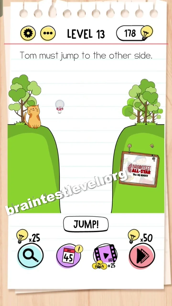Level 13