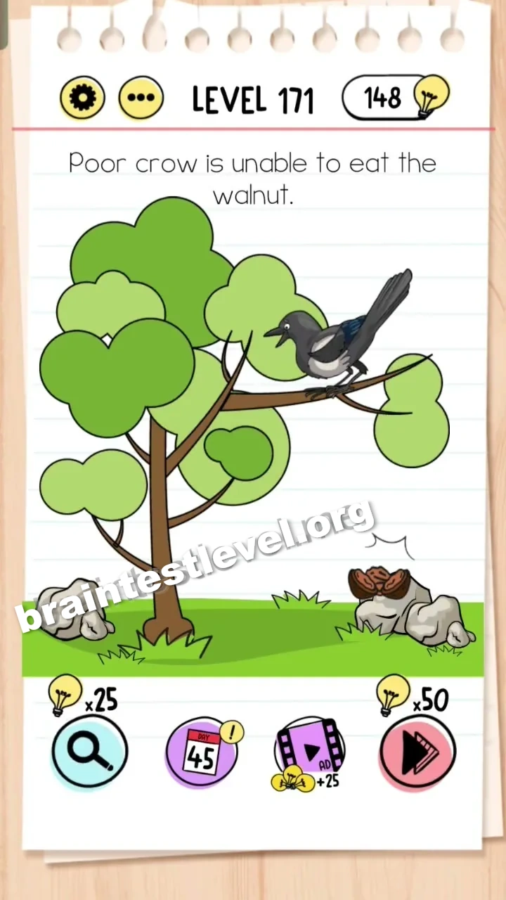 Level 171