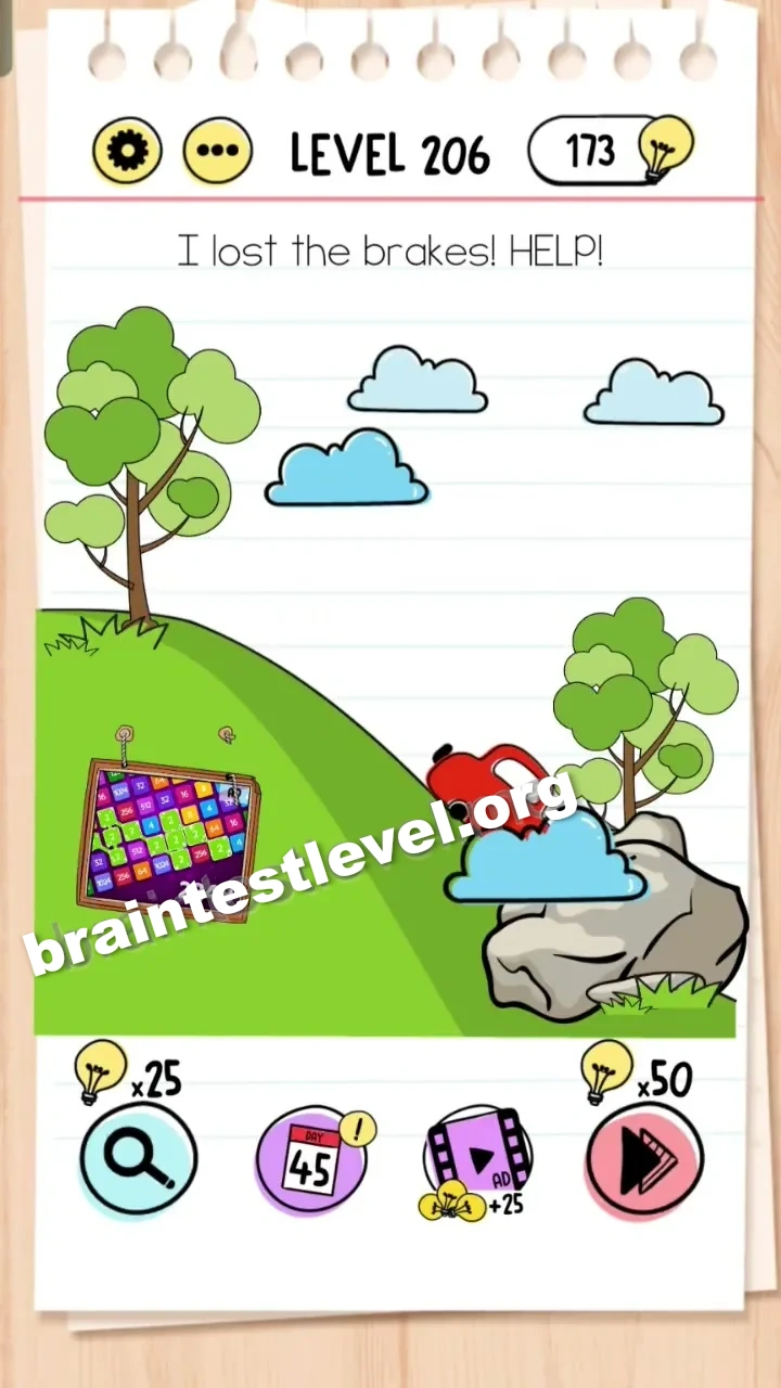 Level 206