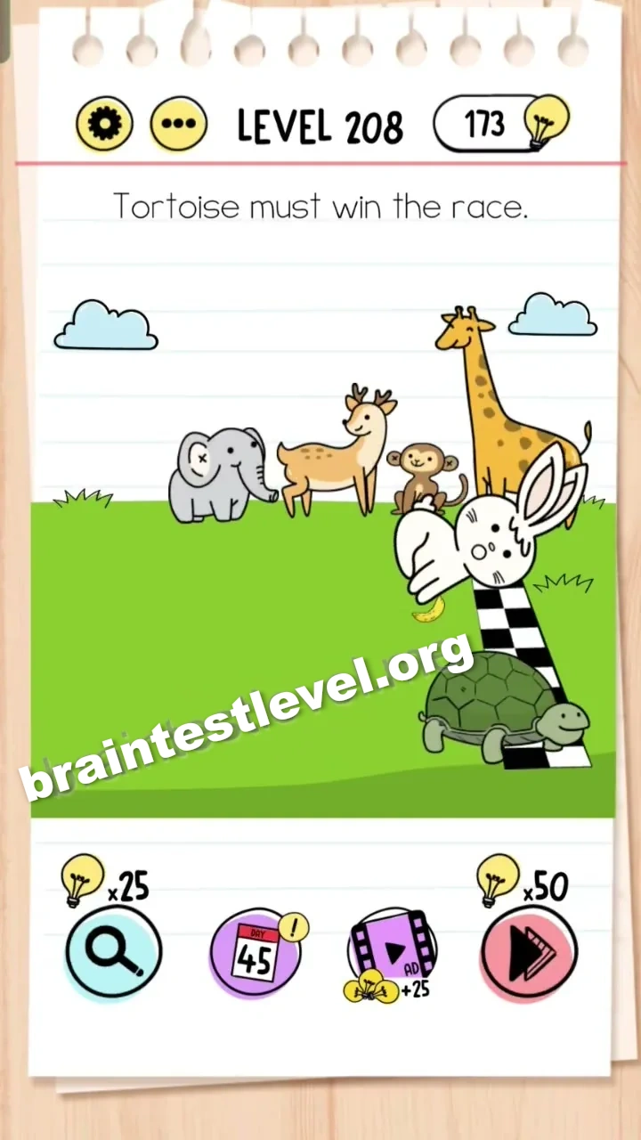 Level 208