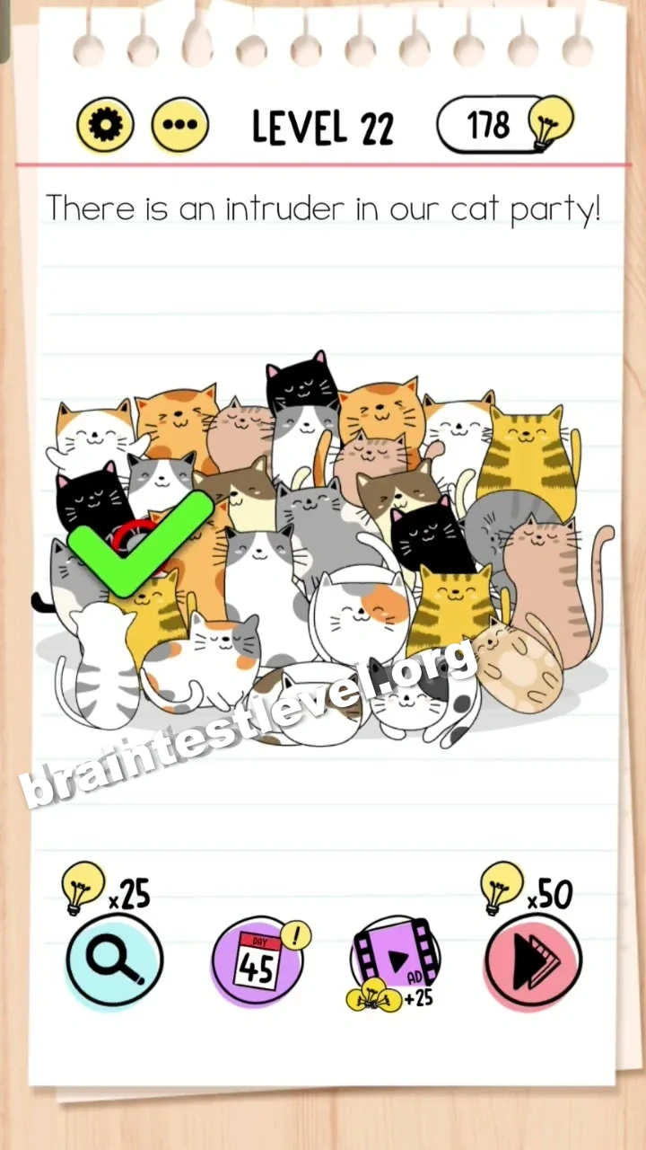 Level 22