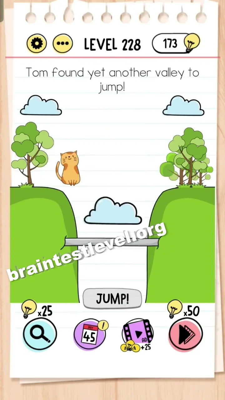 Level 228