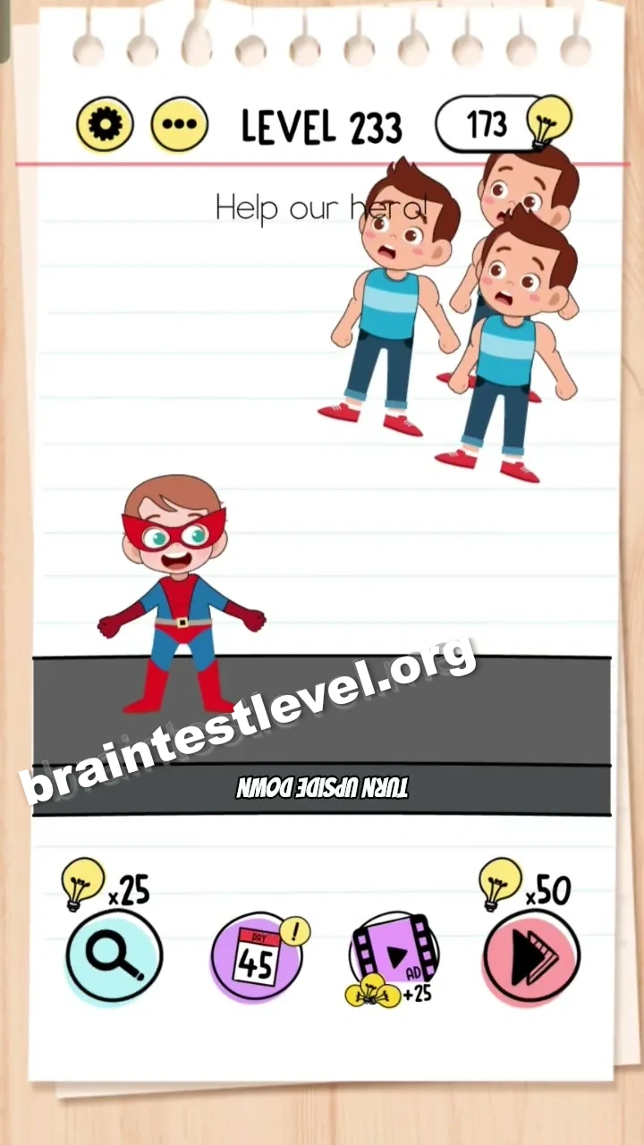 Level 233