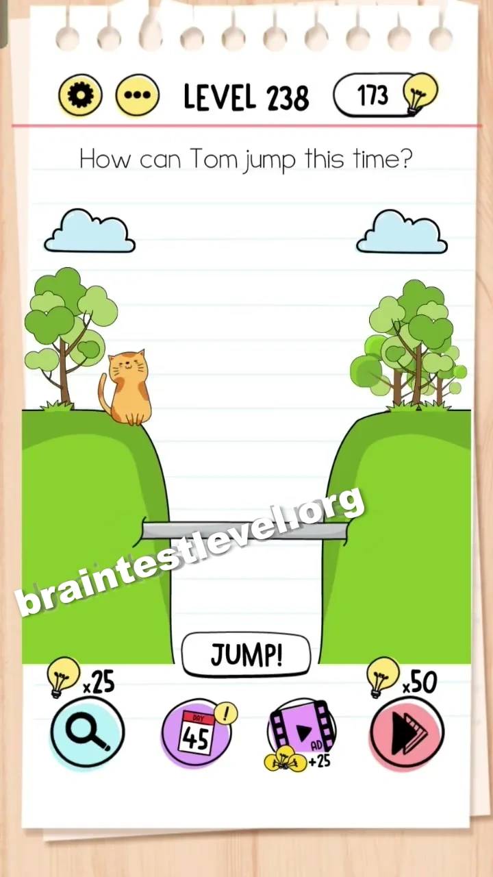 Level 238