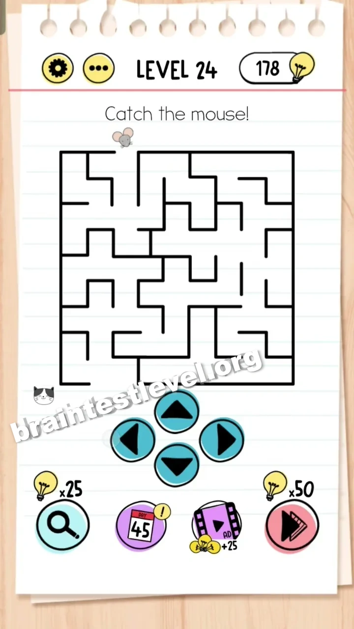 Level 24