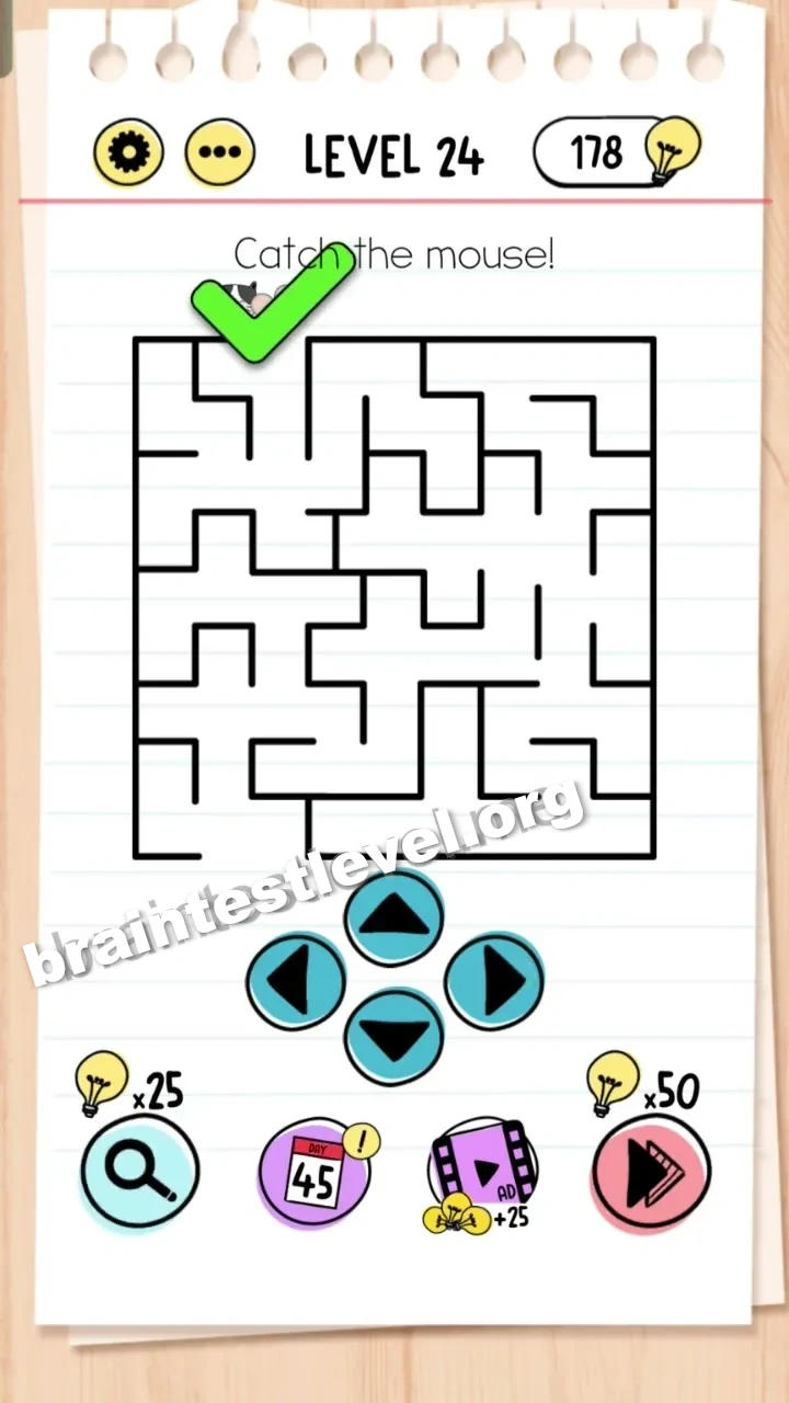 Brain Test Level 24 screenshot 2