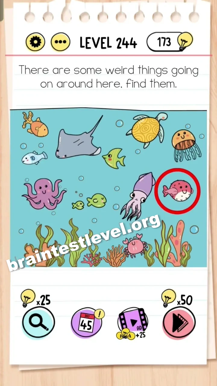 Level 244
