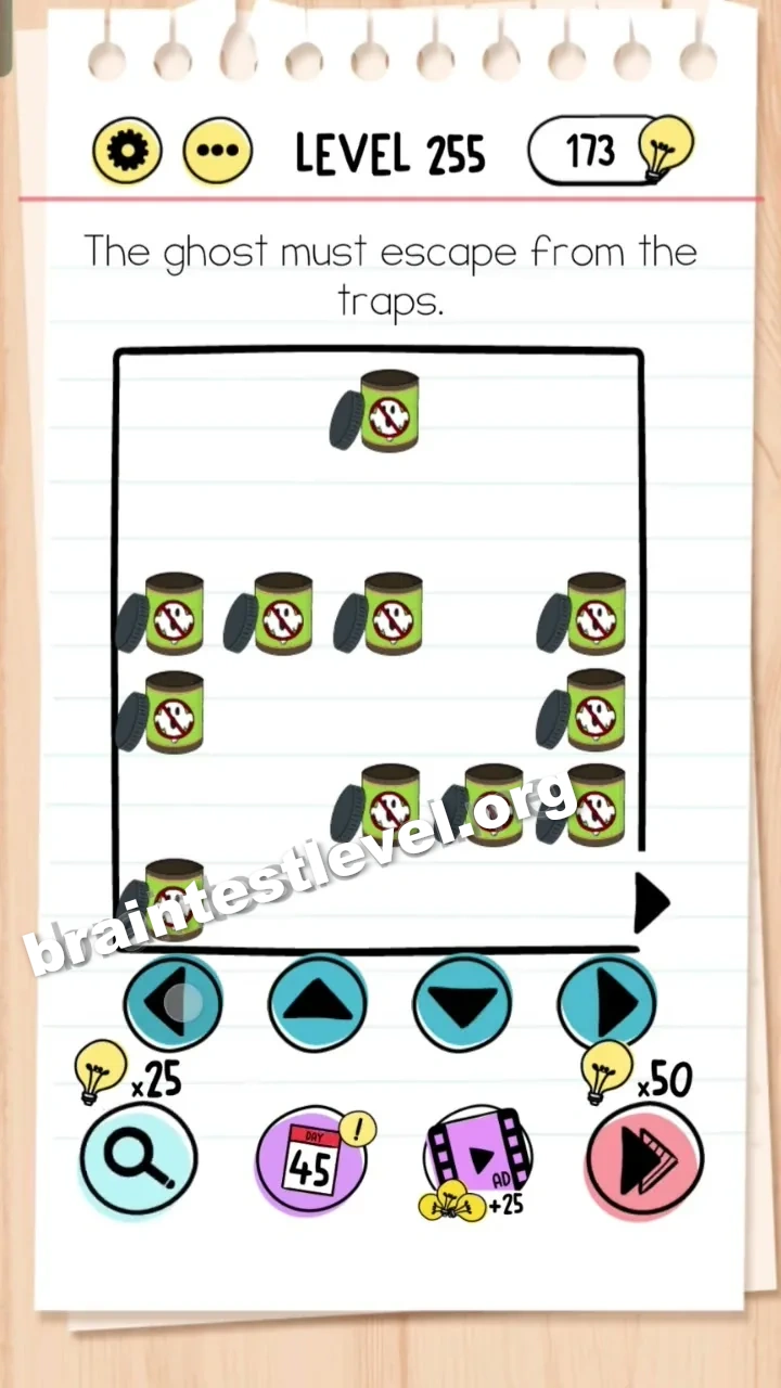 Level 255