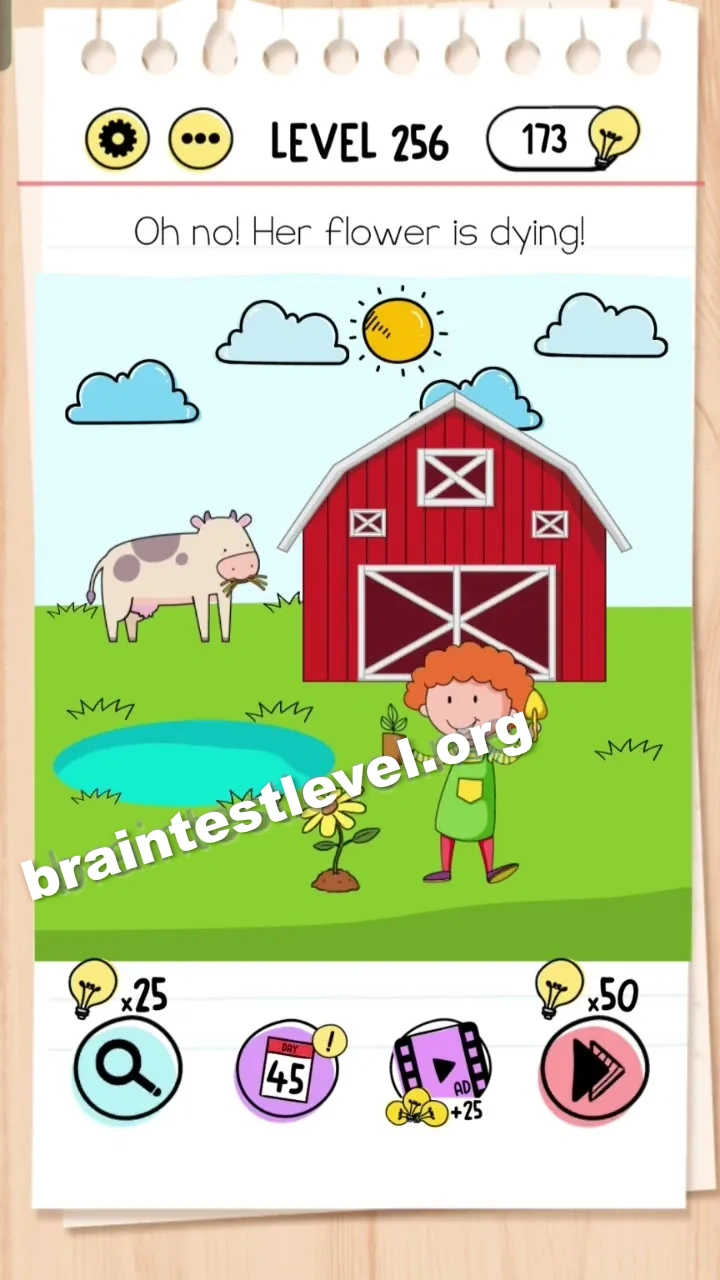 Level 256