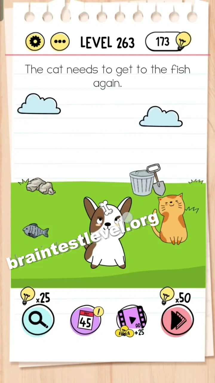 Level 263