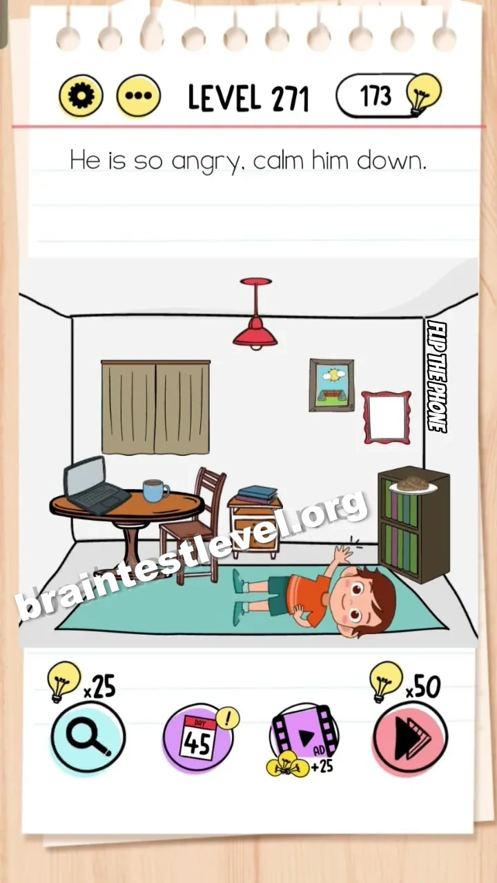 Level 271