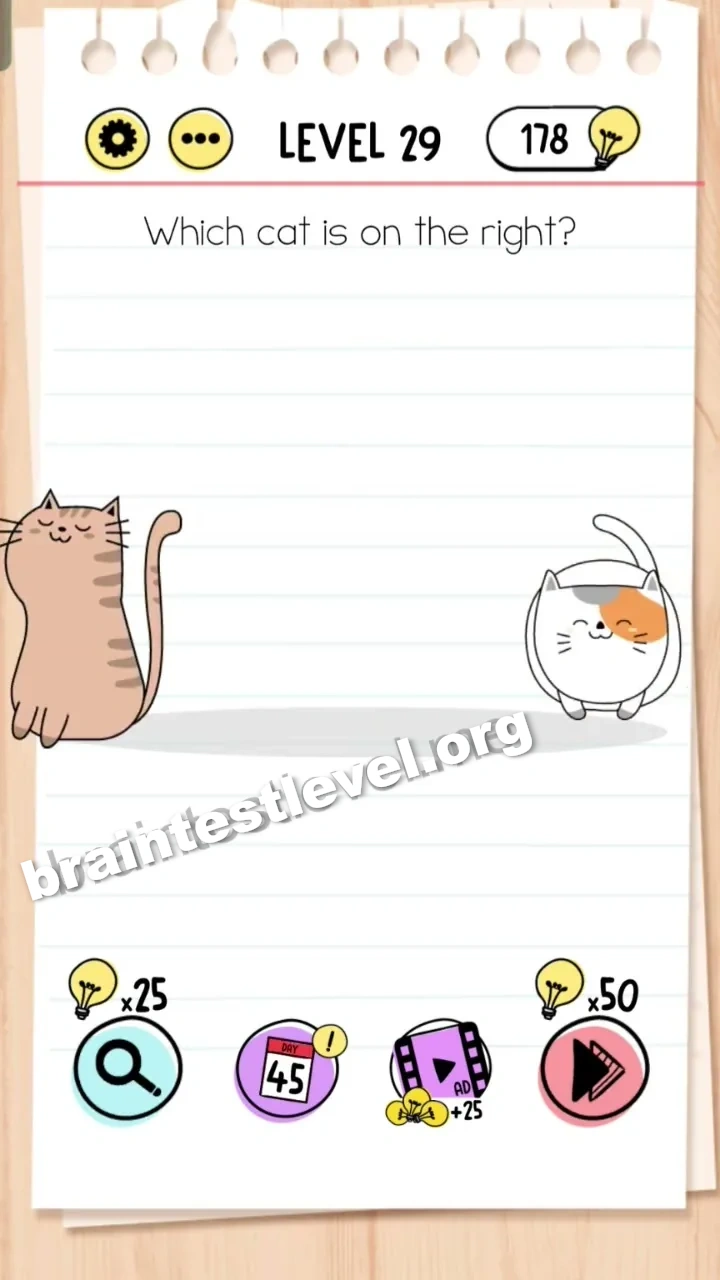 Level 29
