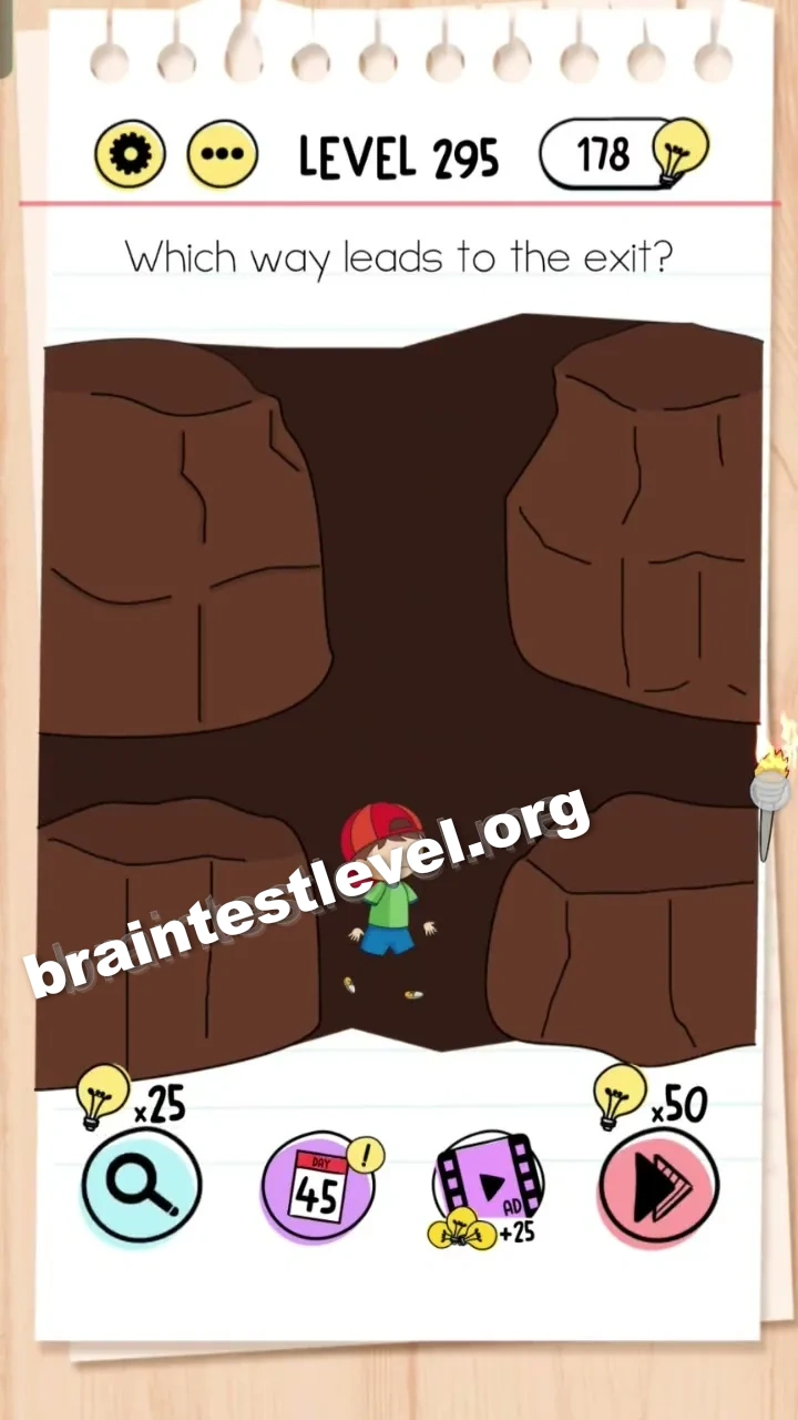 Level 295