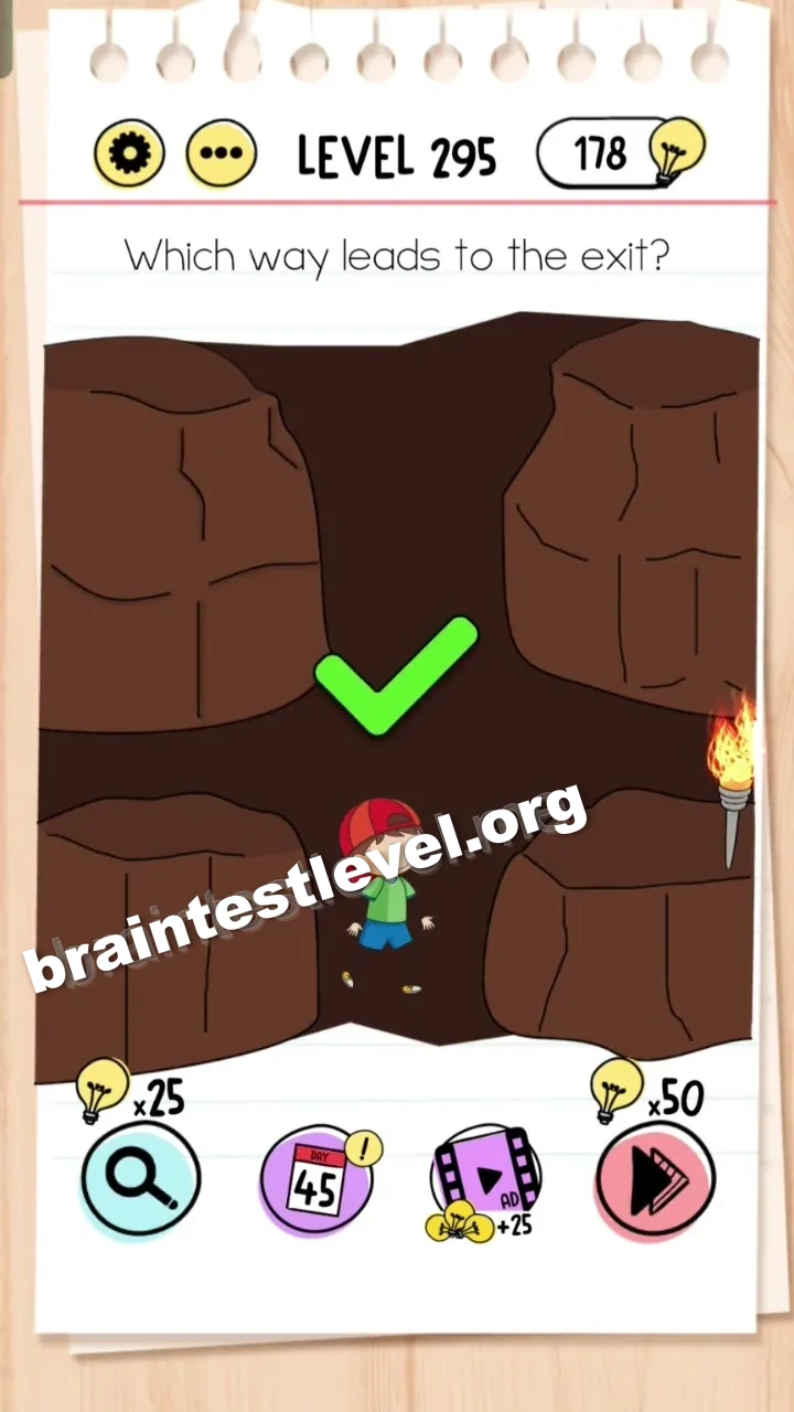 Brain Test Level 295 screenshot 2