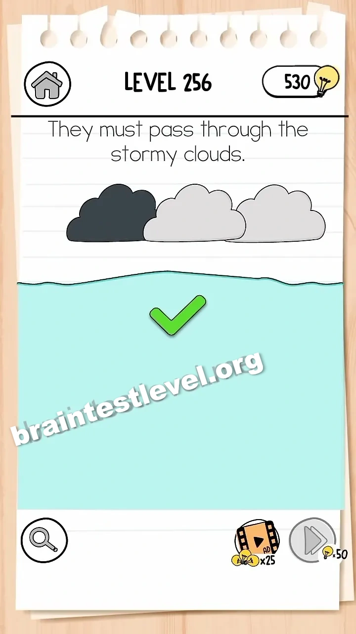 Brain Test 3 Level 256 screenshot 2