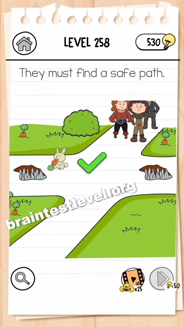 Brain Test 3 Level 258 screenshot 2