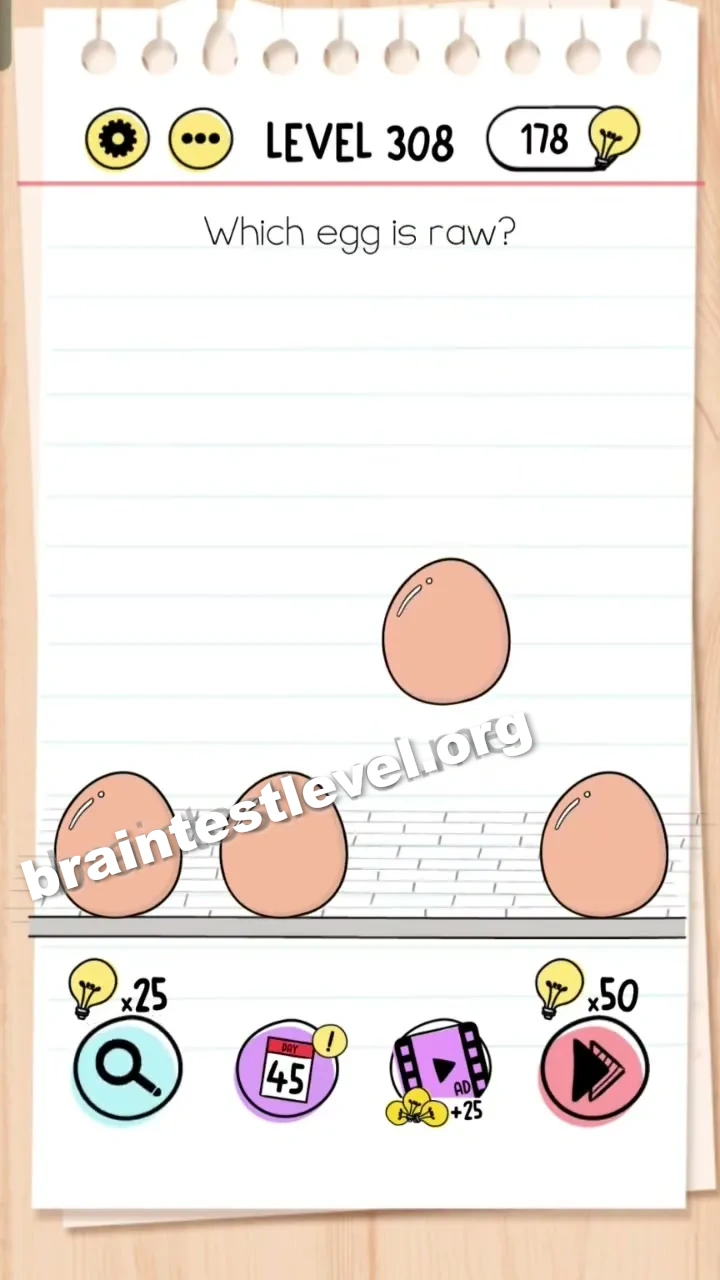 Level 308