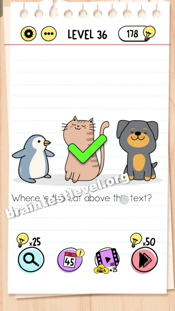 Level 36
