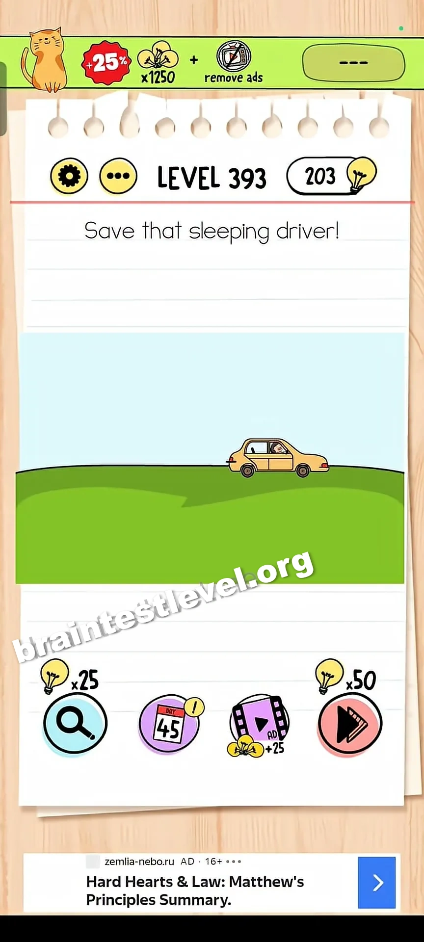 Level 393