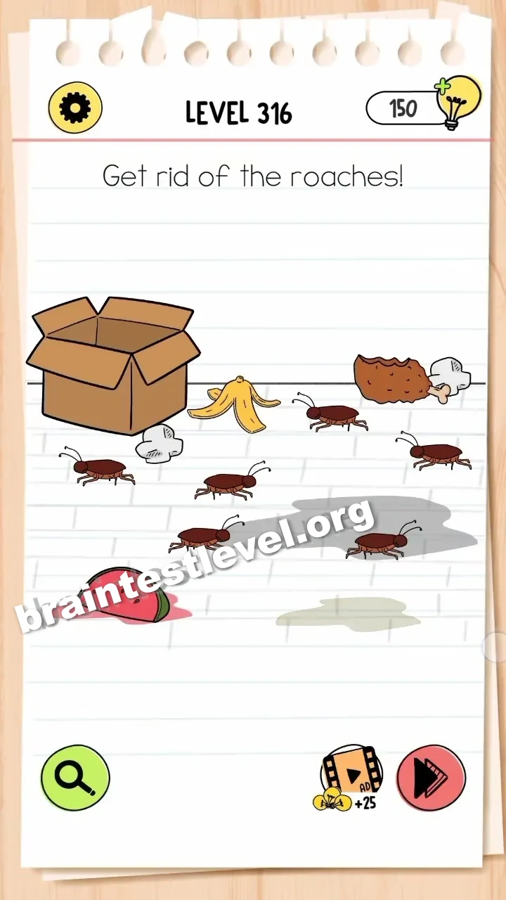 Level 316 screenshot