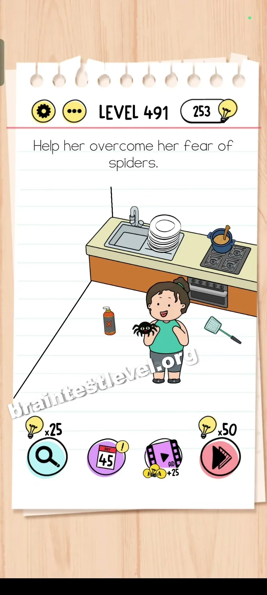 Level 491