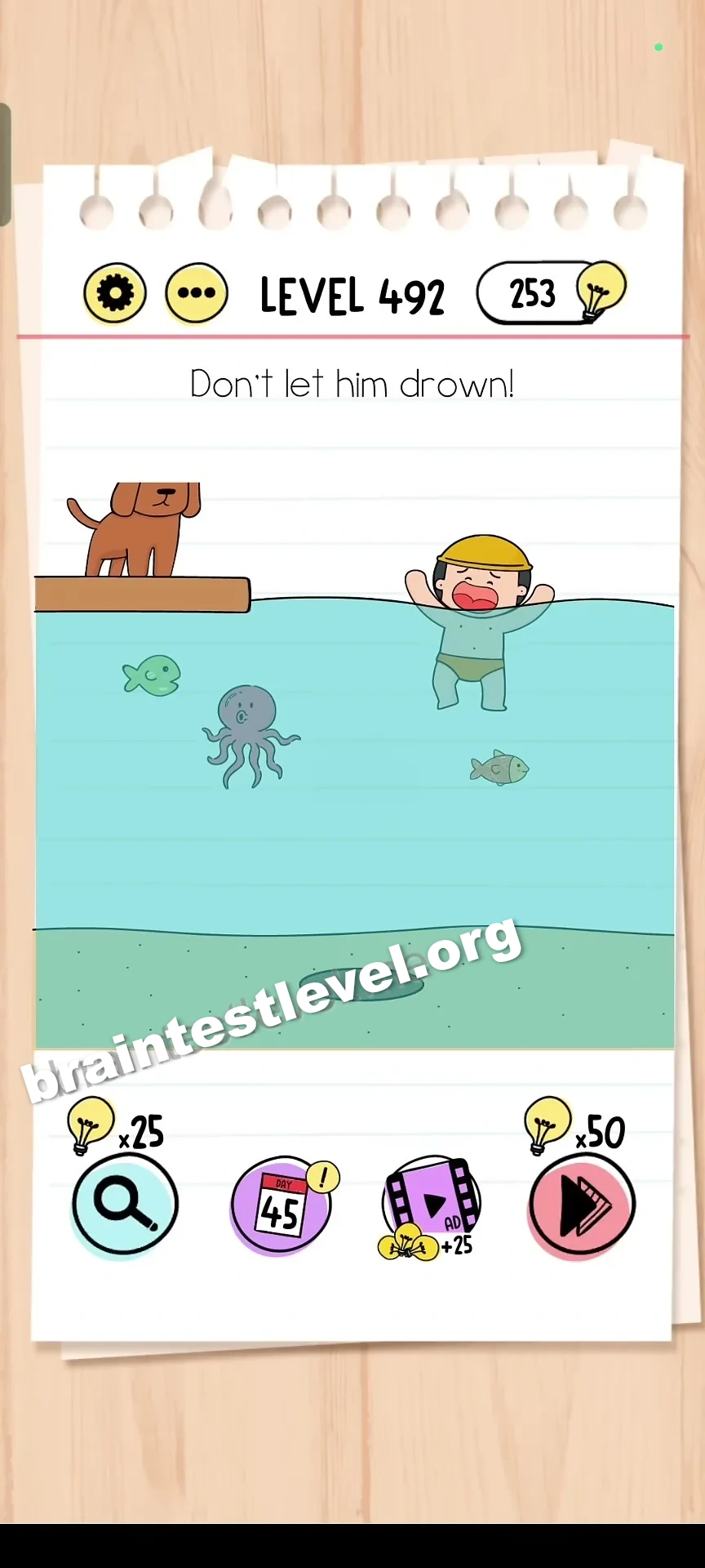 Level 492