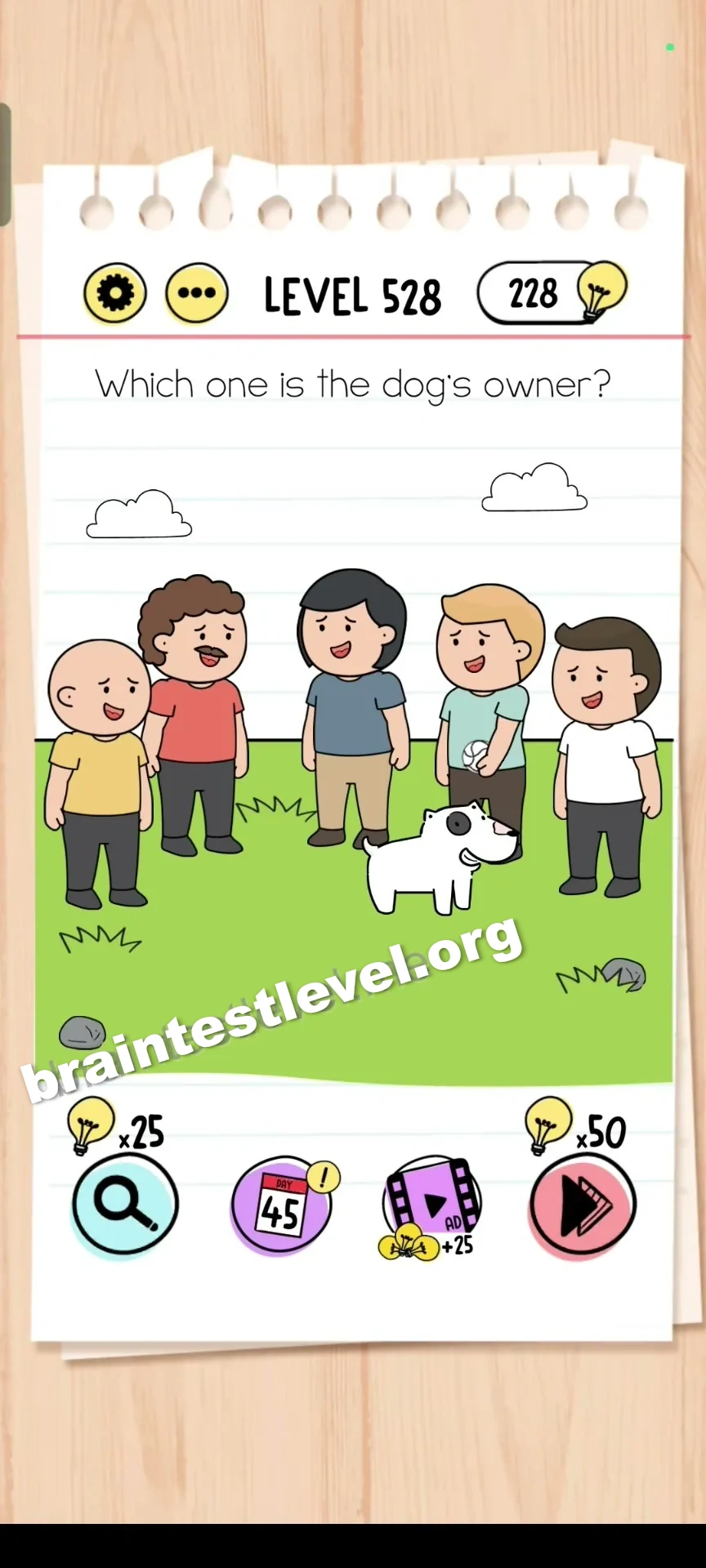 Level 528