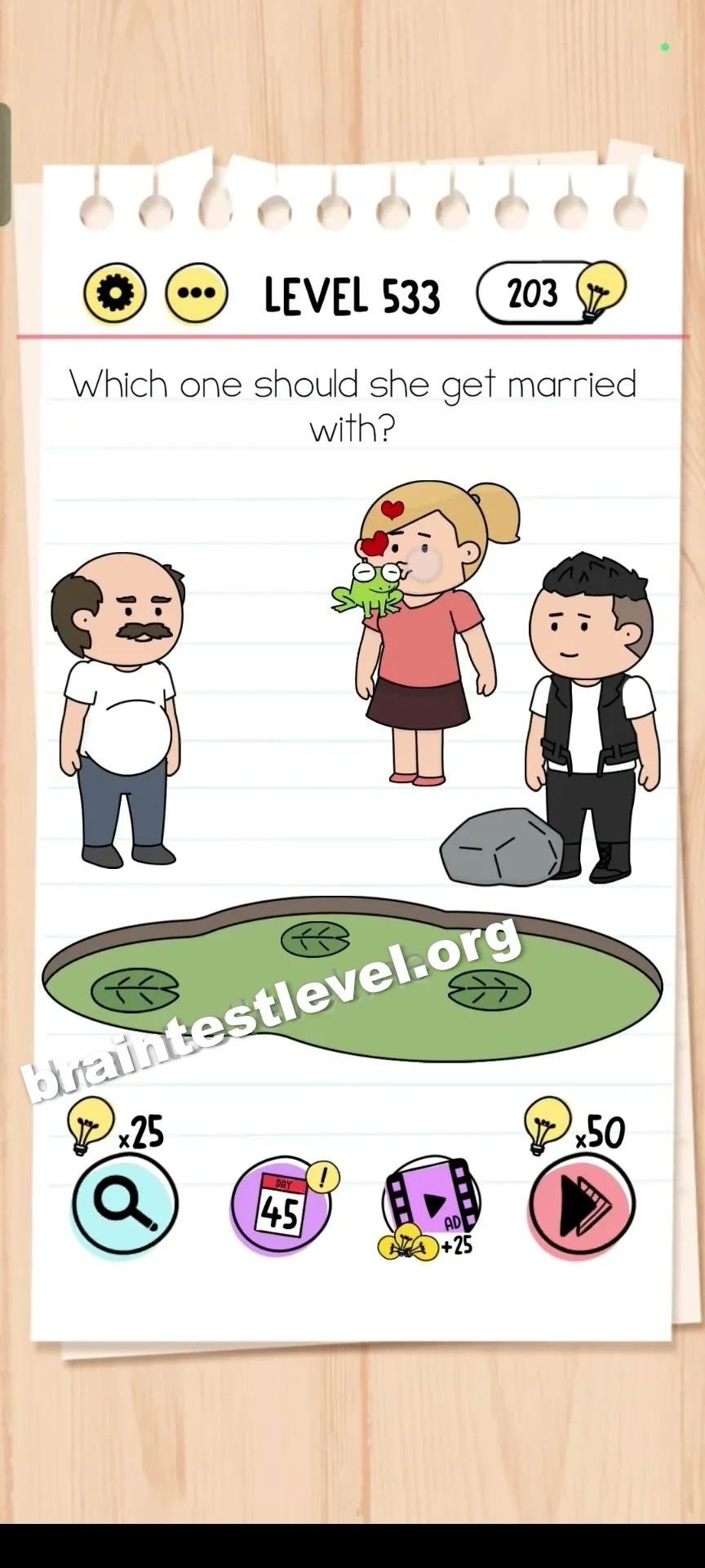 Level 533