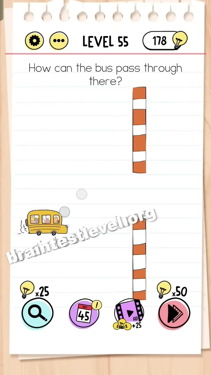 Level 55