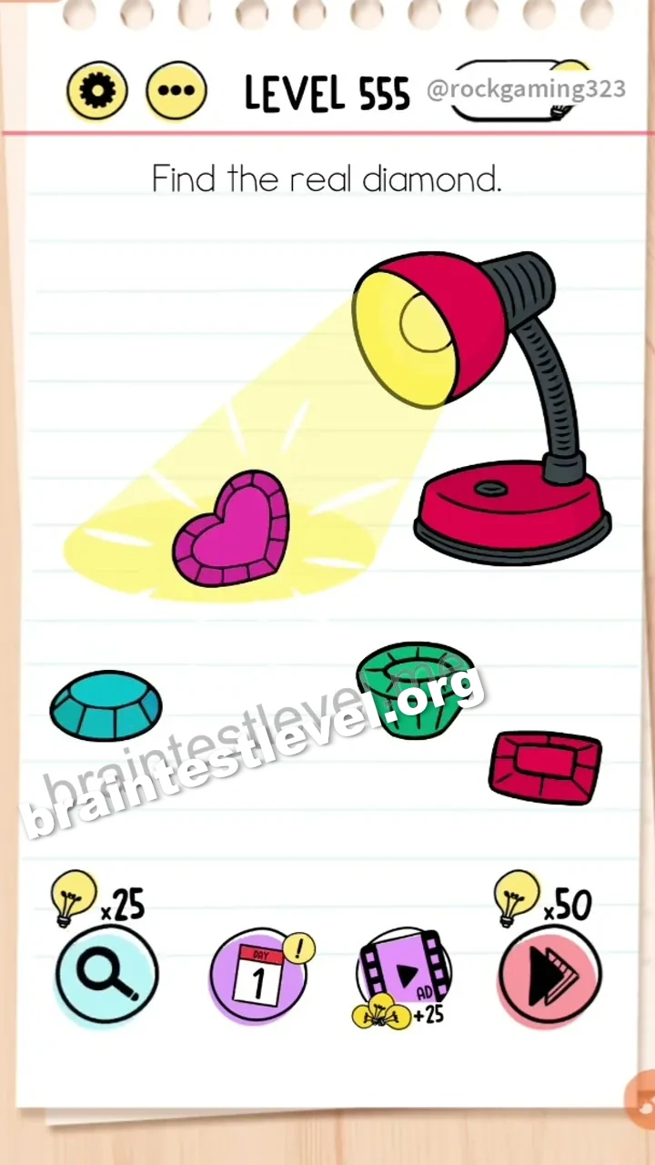 Level 555