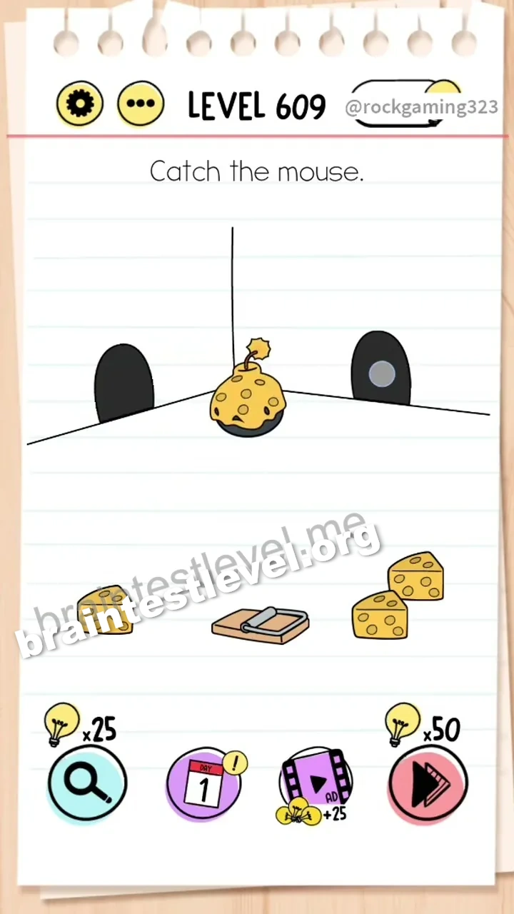 Level 609
