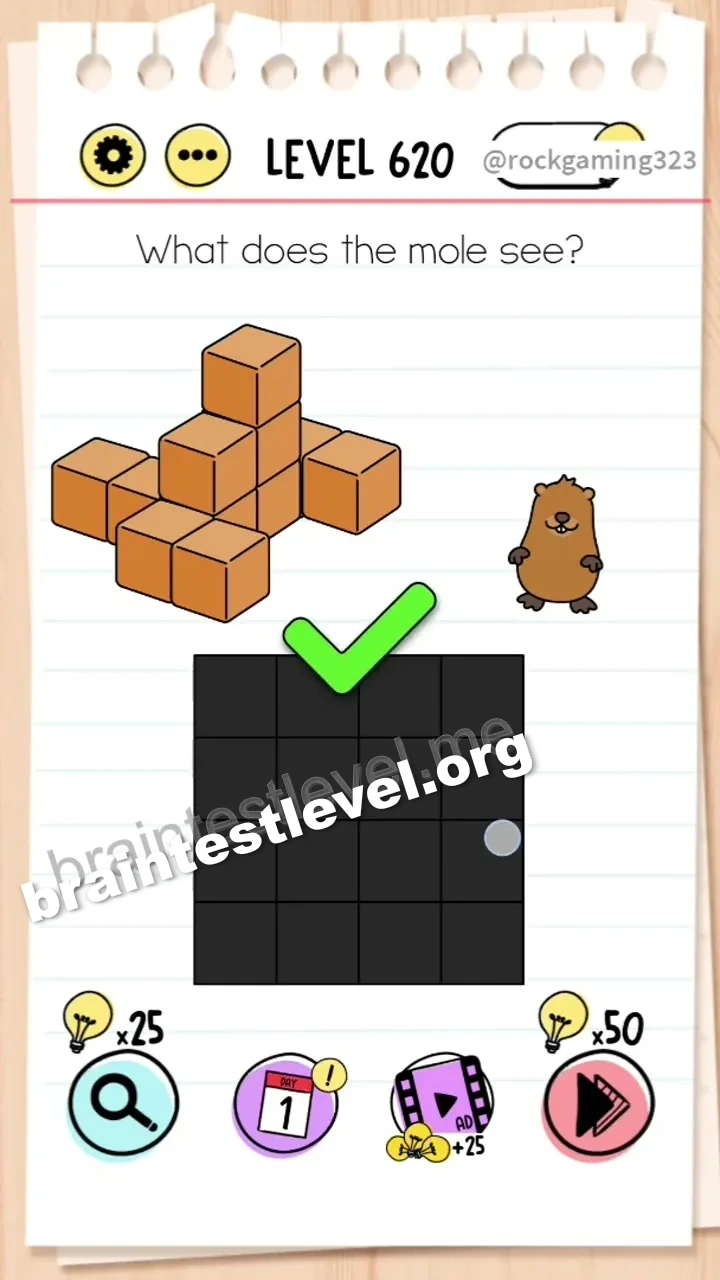 Brain Test Level 620 screenshot 2