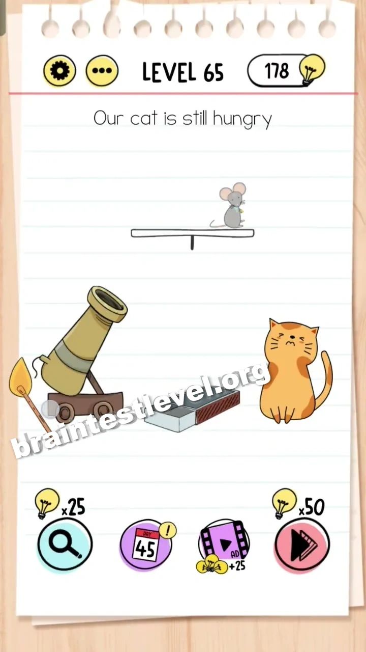 Level 65