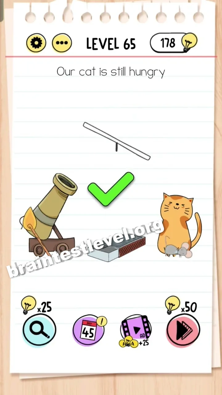 Brain Test Level 65 screenshot 2