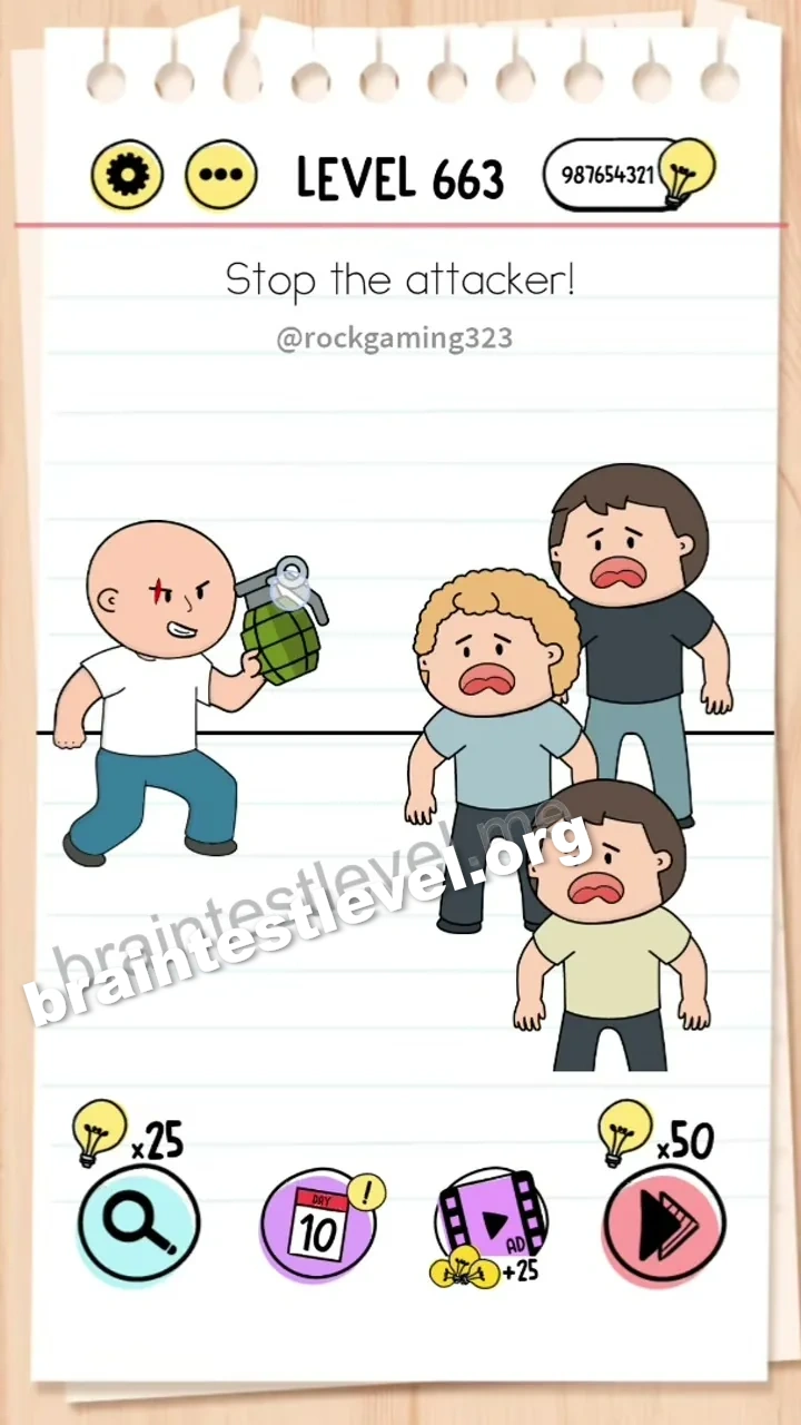 Level 663
