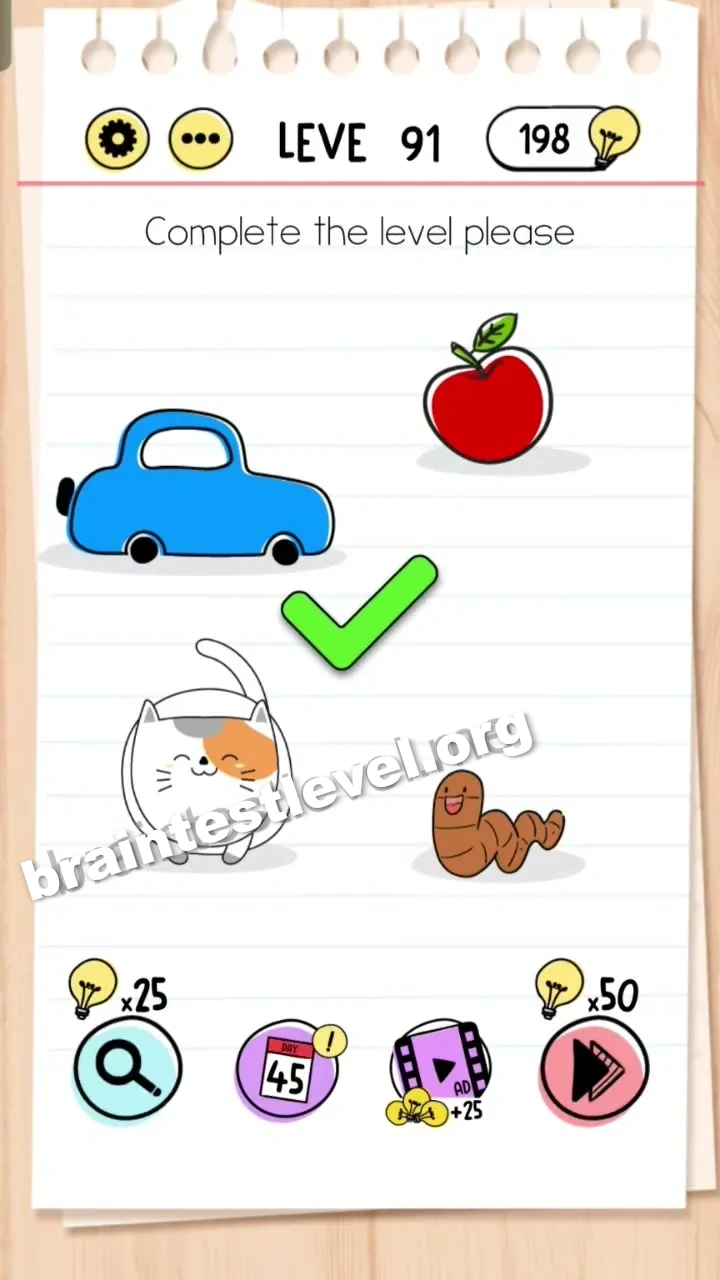 Level 91